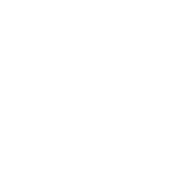 AIRLINE GROUND STAFF
