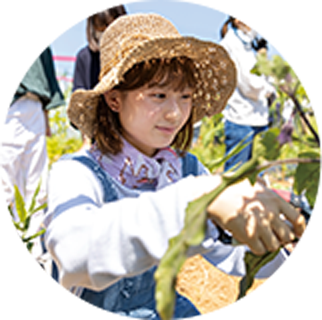 産学連携プロジェクト