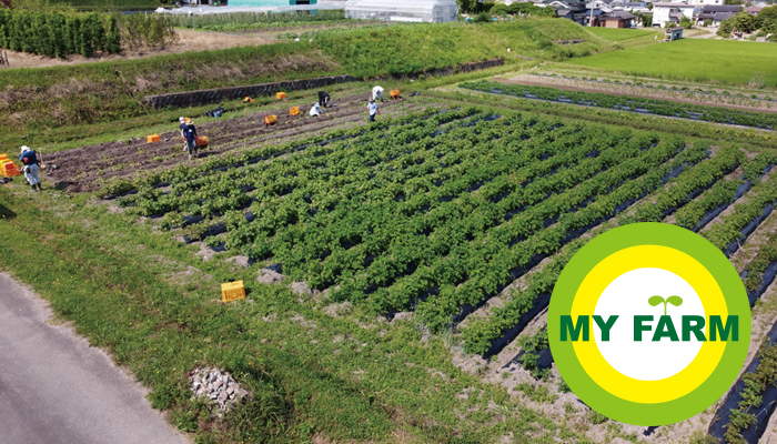 MY FARM