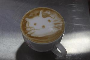 Kitty