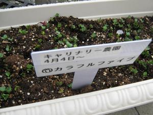 Photo_9