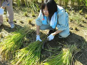 Photo_5