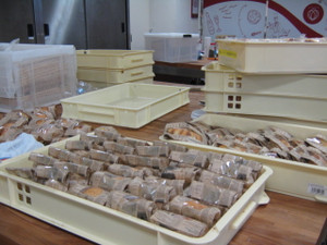 Photo_4