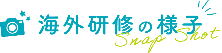 研修の様子