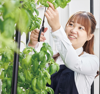 農業・健康美実習